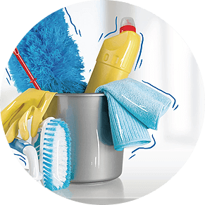 Professional Cleaning In Lake Elsinore